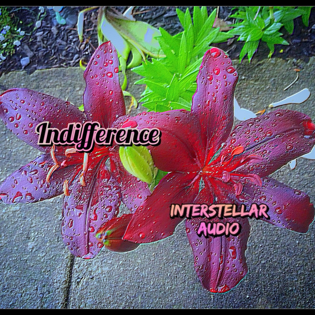 Indifference - Single by Interstellar Audio | Spotify