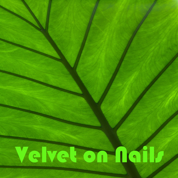 Cover of Velvet On Nails by Behindtupfers