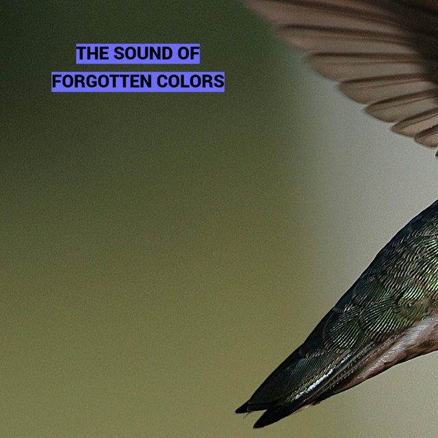 The Sound of Forgotten Colors