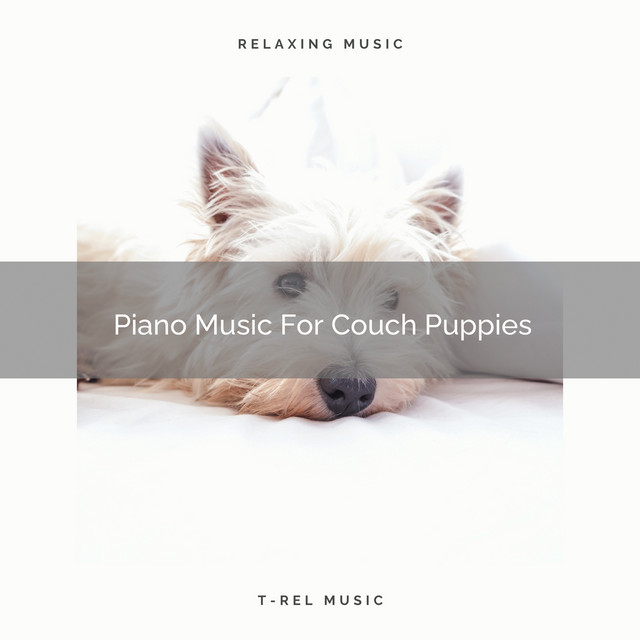 Piano Music For Couch Puppies cover art