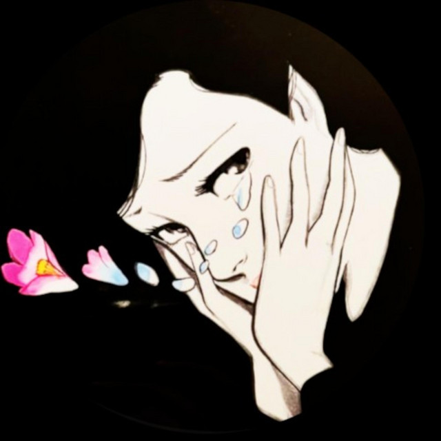 not here cover art