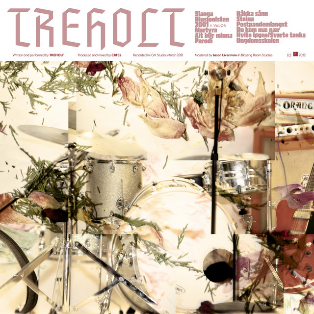 TREHOLT cover art