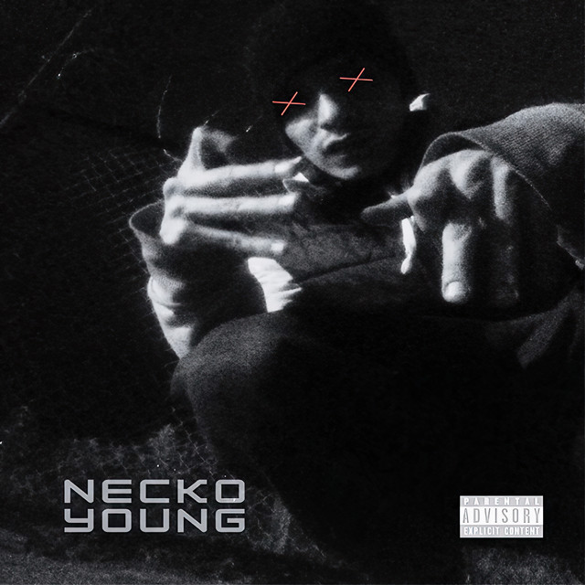 Reflejoz (Demo) cover art