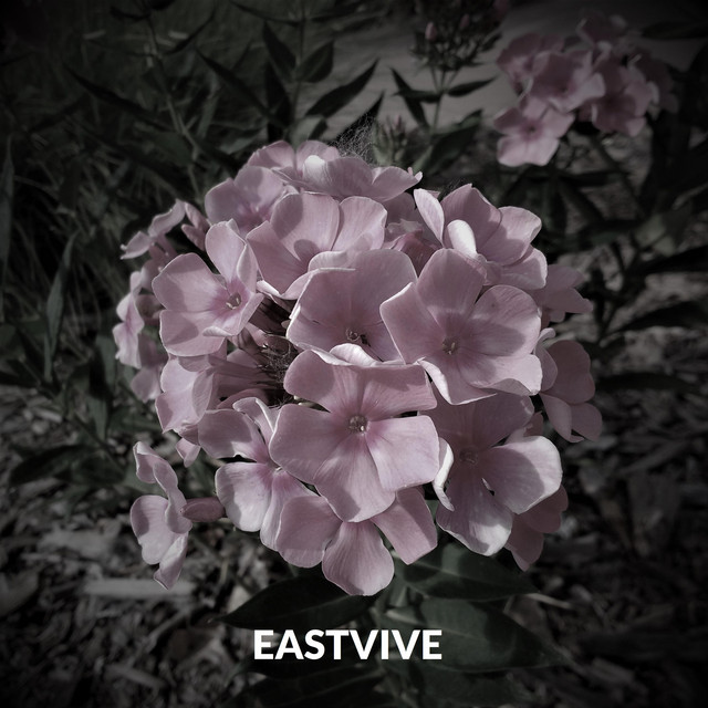 Eastvive - Single by Keyvibe | Spotify