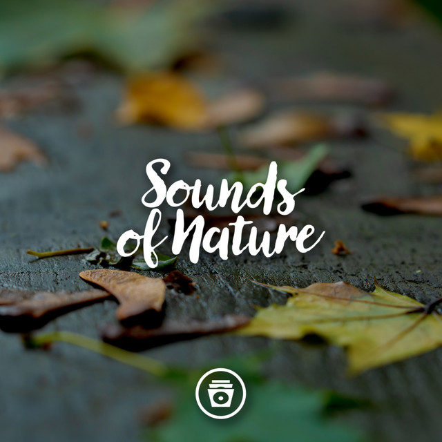 Sounds Of Nature cover art