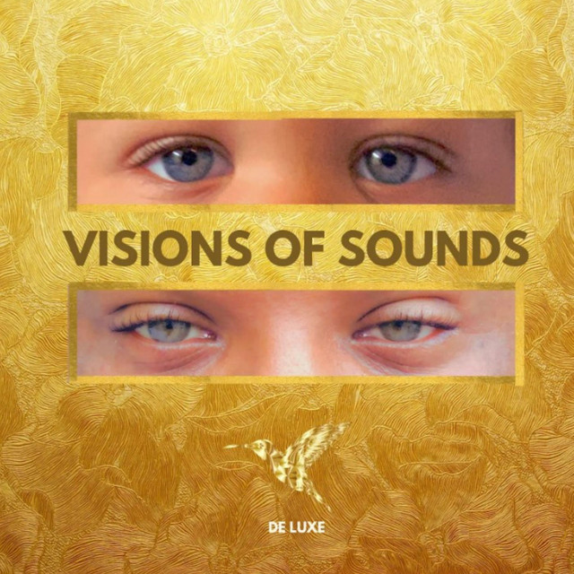 Visions Of Sounds De Luxe cover art