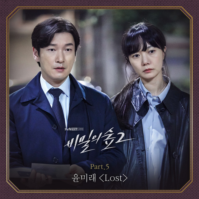 Stranger 2 (Original Television Soundtrack) Pt. 5 album image