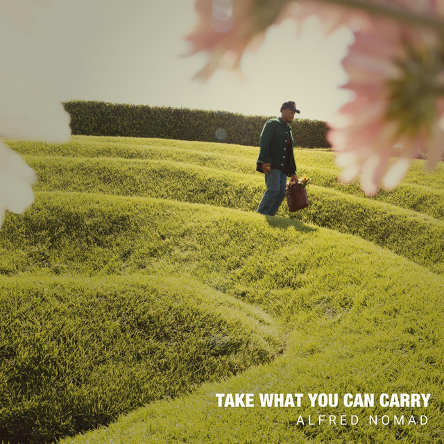 Take What You Can Carry cover art