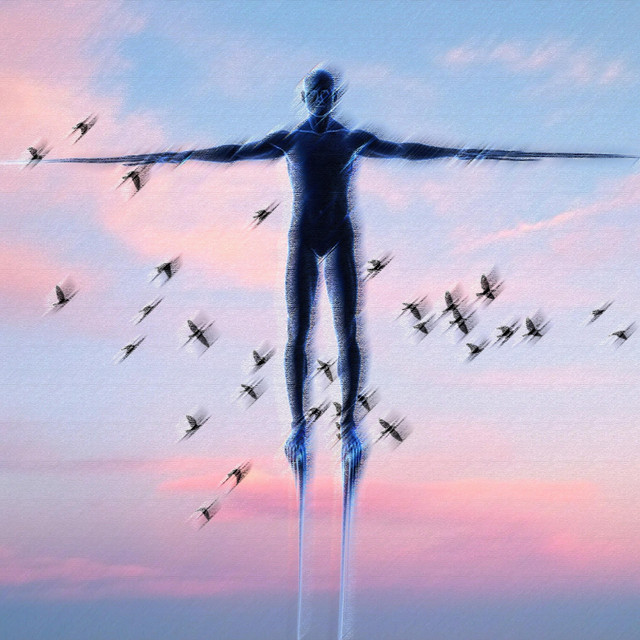 Higher cover art