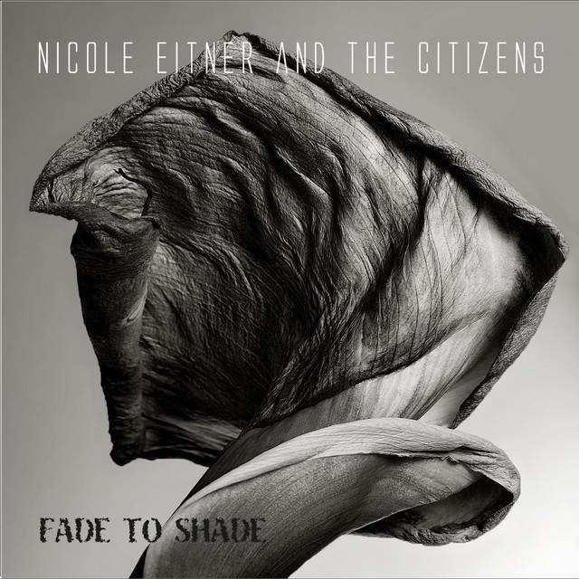 Fade to Shade cover