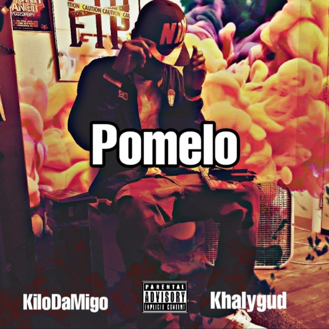 Pomelo - Single by Khalygud | Spotify