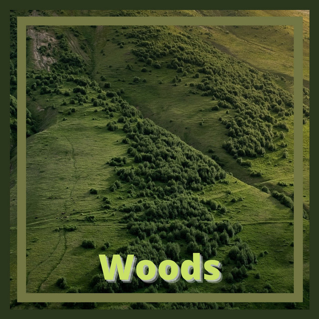 Woods cover art