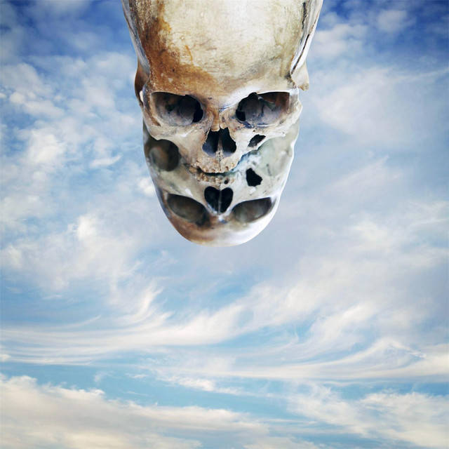 Here in the Deadlights cover art