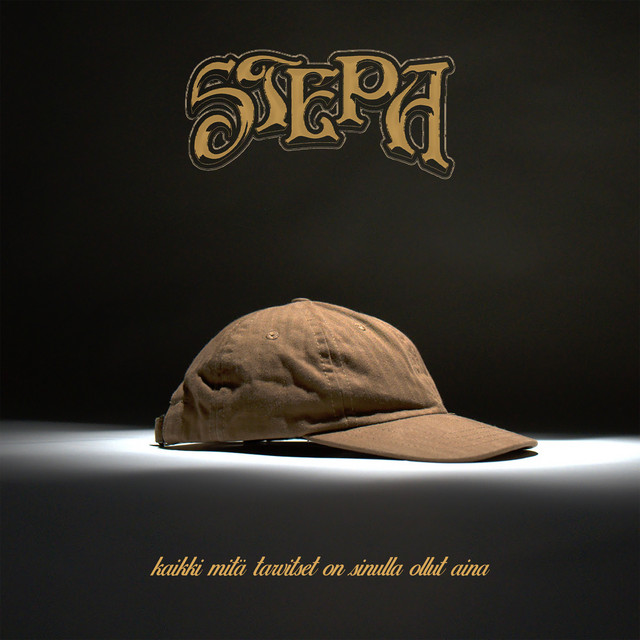 Kaikki mitä tarvitset on sinulla ollut aina - Single by Stepa | Spotify