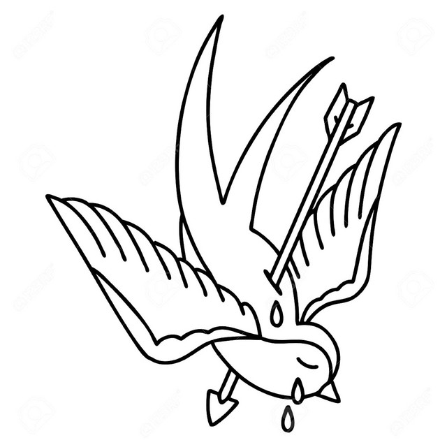 unknown cover art