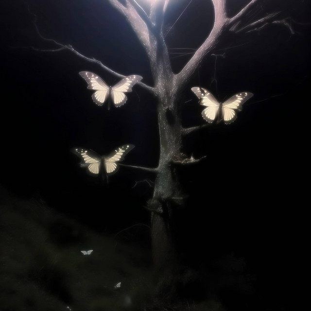 jane cover art