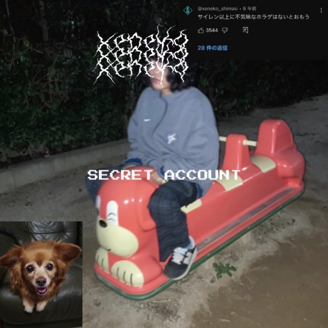 SECRET ACCOUNT cover art