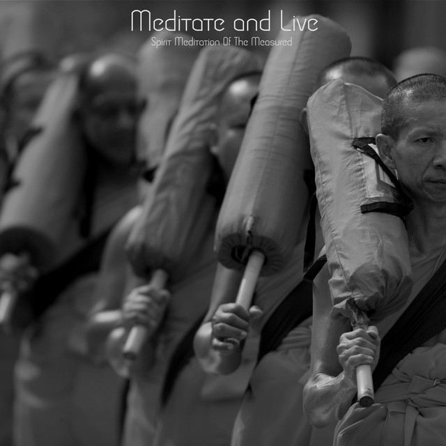 Meditate and Live cover art