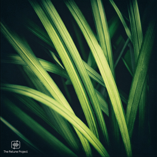 Lemongrass album image