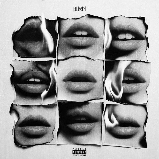 Burn cover art