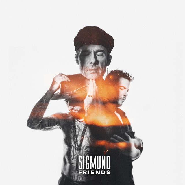 Sigmund Friends