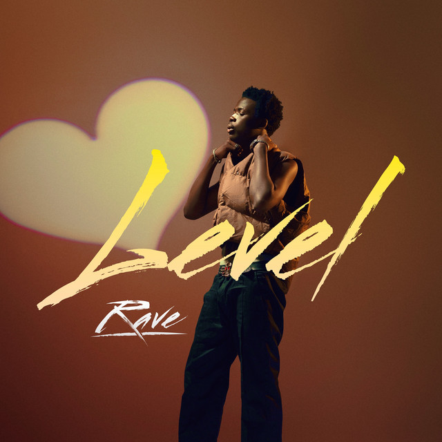 Level cover art