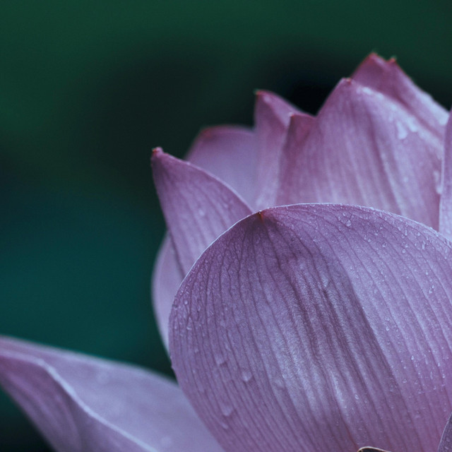 Isht Sodhana Mantra