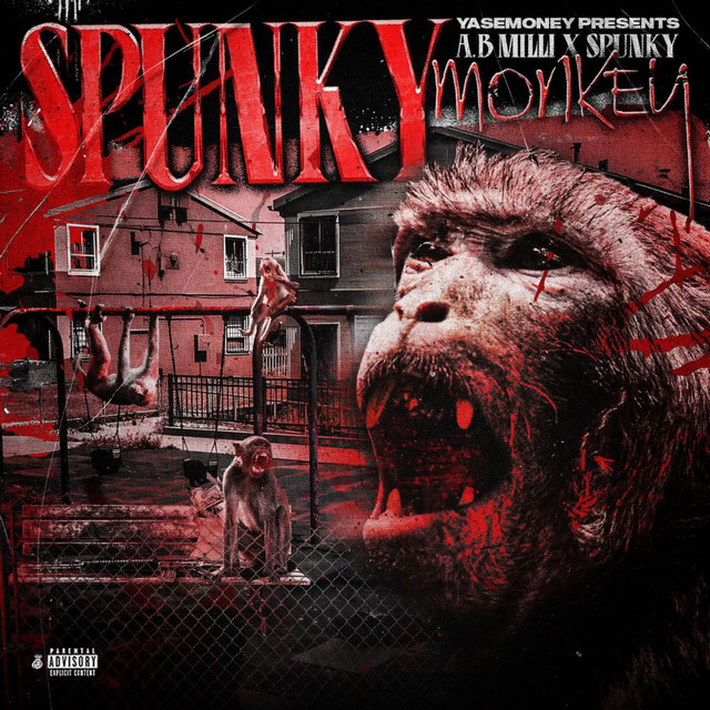 SPunkY MoNkey cover art