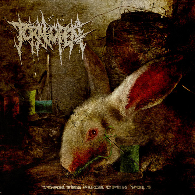 TORN THE FUCK OPEN, Vol. 1 cover art