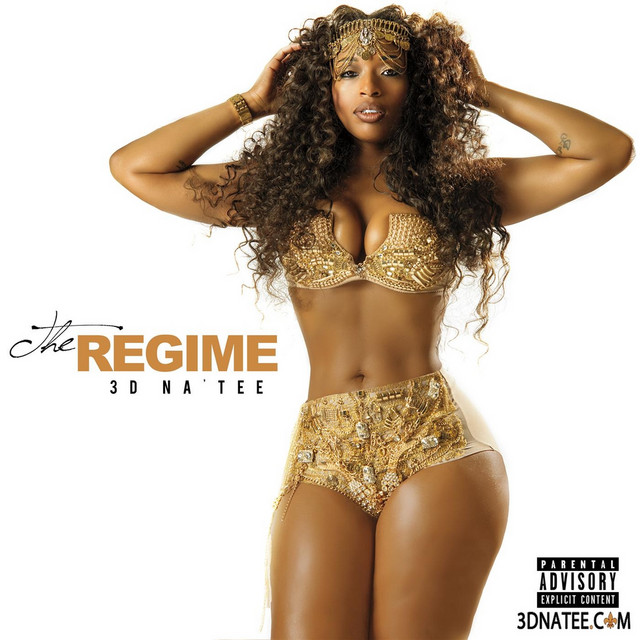The Regime cover art