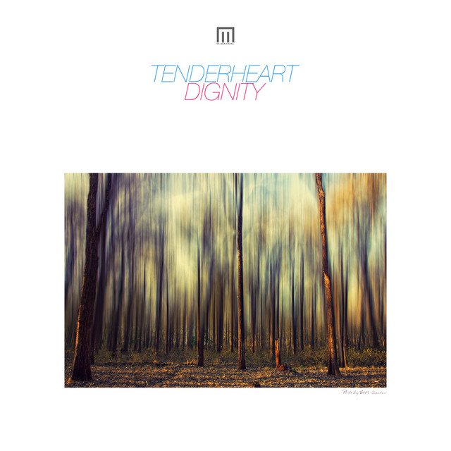 Dignity cover art