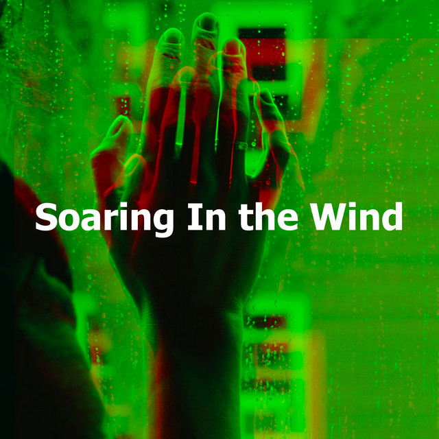 Soaring In the Wind - Album by Brown Noise Radio | Spotify