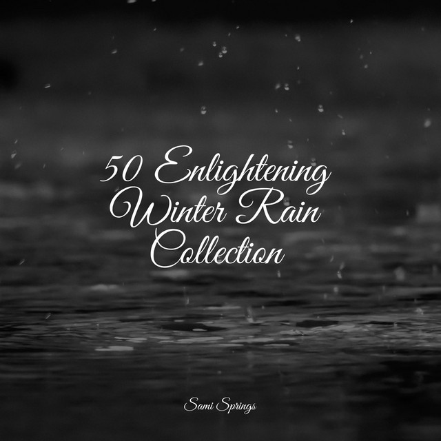 50 Ambient Rain Sounds for Sleep and Relaxation - Album by Rain Hard ...