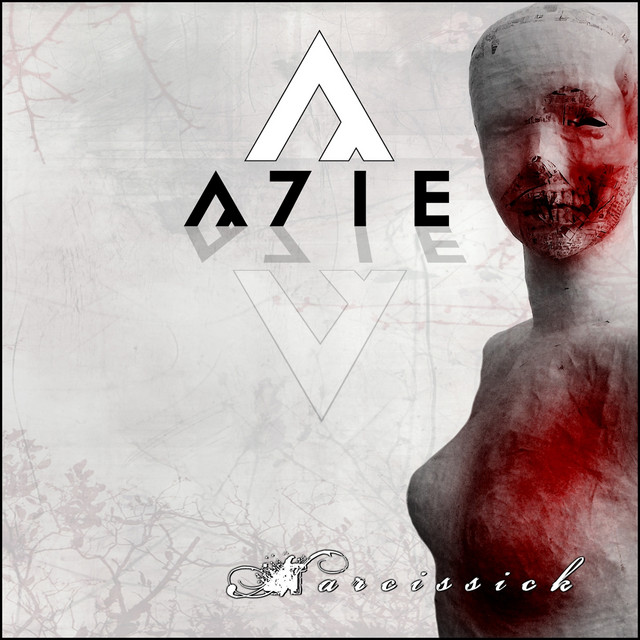 Narcissick cover art