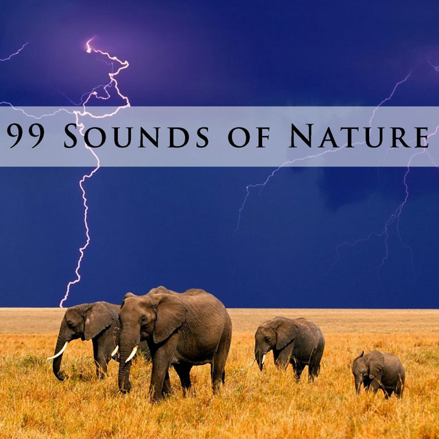 99 Sounds of Nature cover art