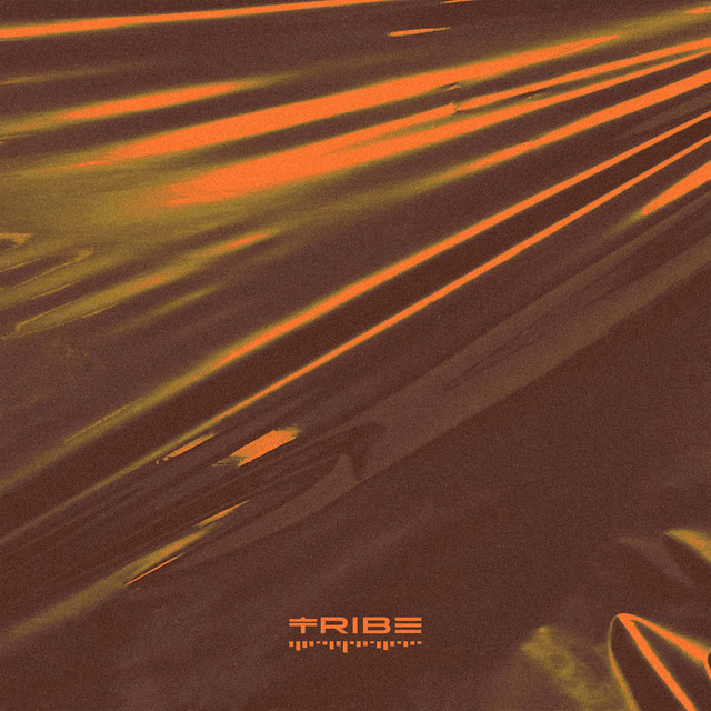 Tribe