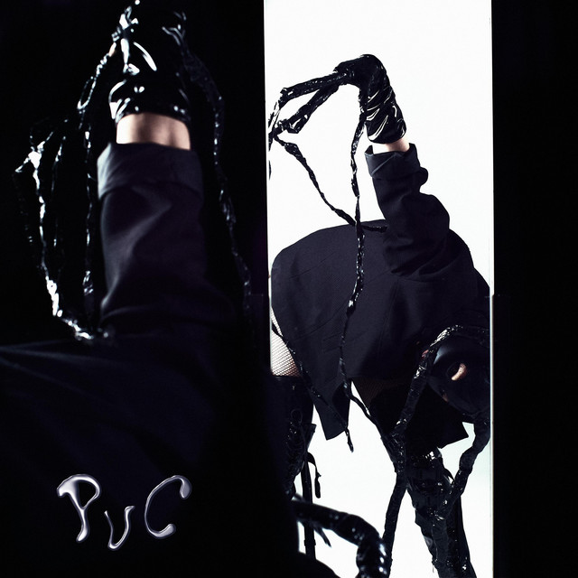 PVC cover art