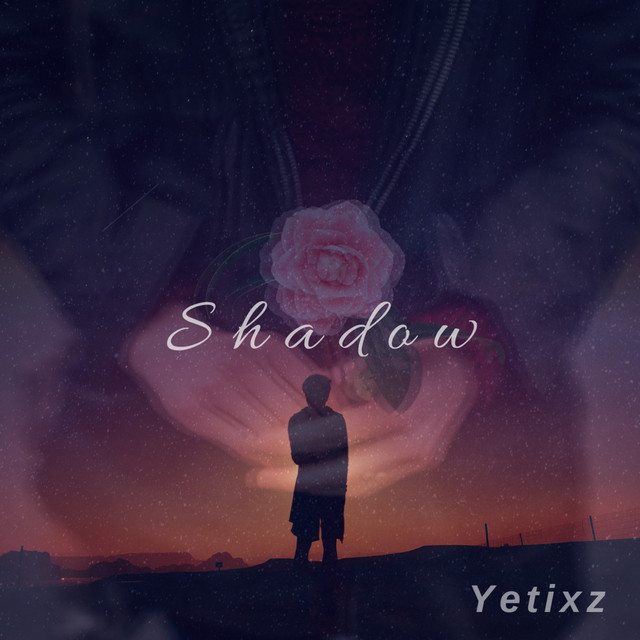 Shadow cover art