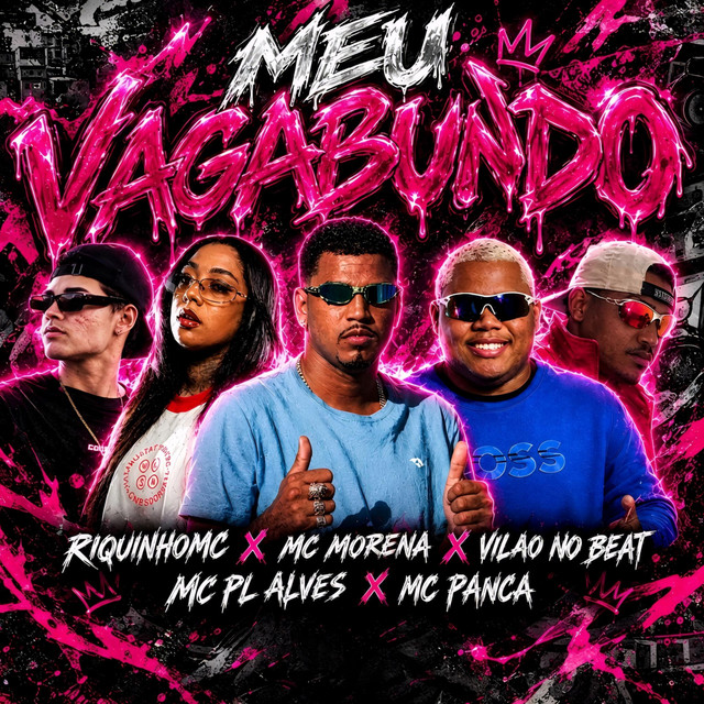 Meu Vagabundo album image