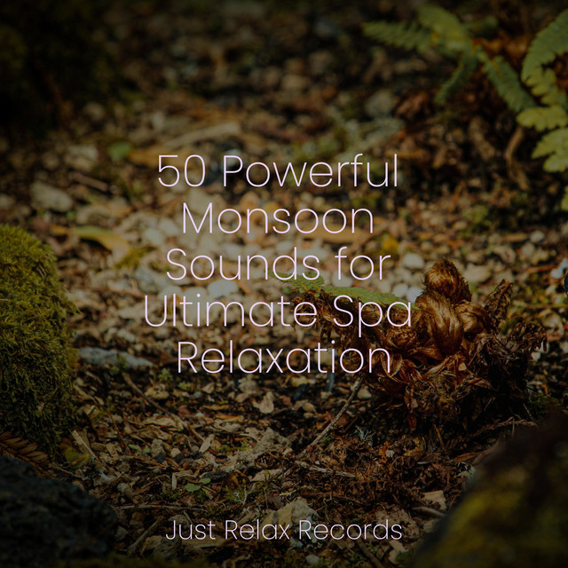 50 Powerful Monsoon Sounds for Ultimate Spa Relaxation cover art