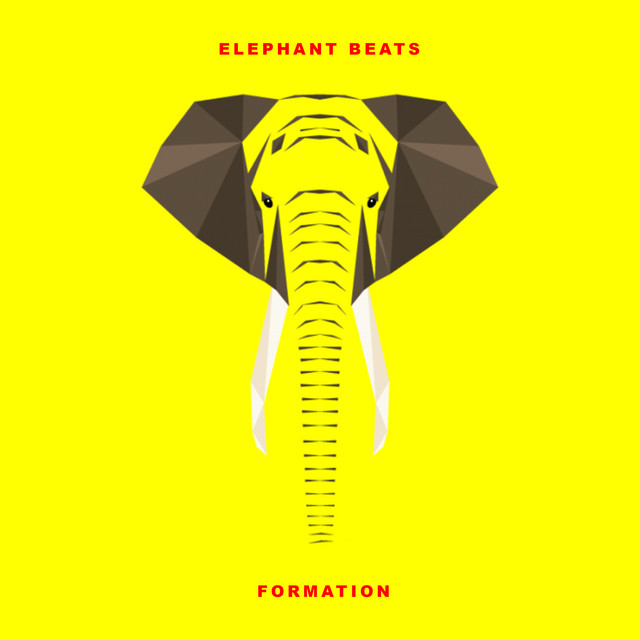 Formation - song and lyrics by Elephant Beats | Spotify