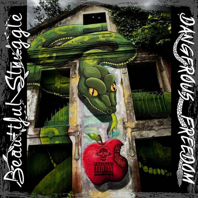 Beautiful Struggle Dangerous Freedom cover art