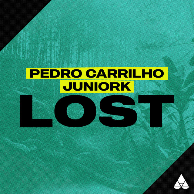 Lost cover