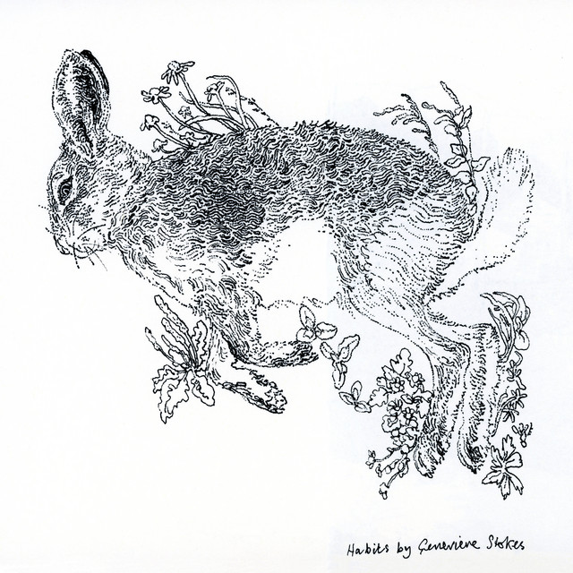 Habits (Demo) by Genevieve Stokes album cover
