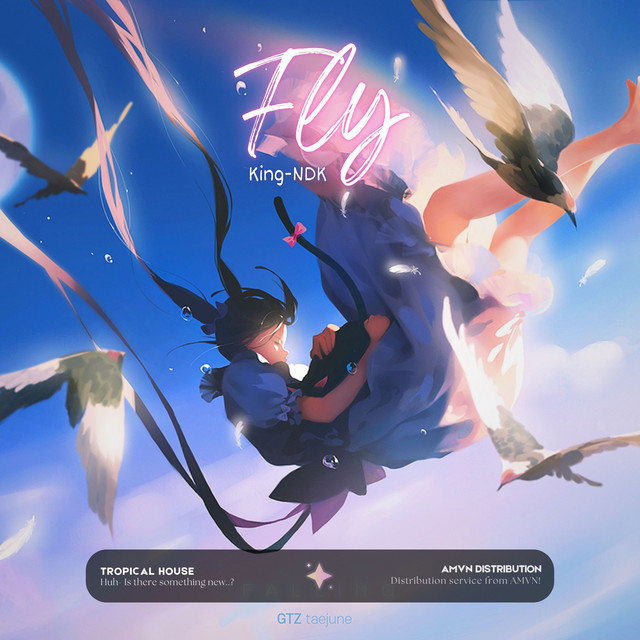 Fly
