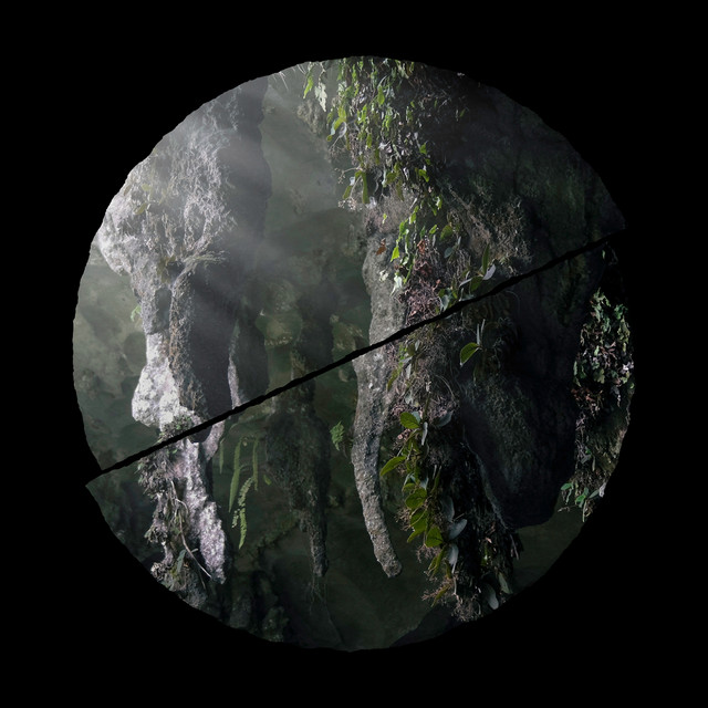 Winged Chamber Music album art