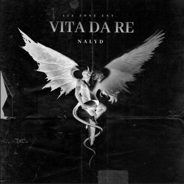 VITA DA RE cover art