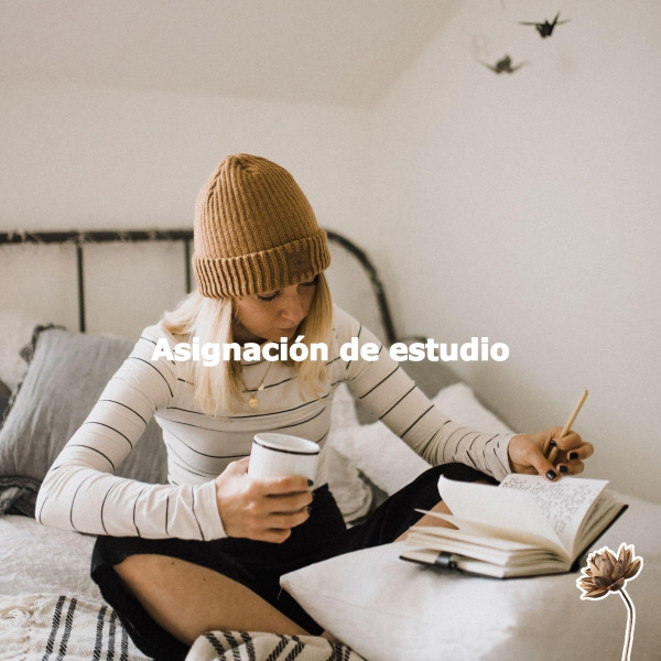 Asignación de estudio cover art