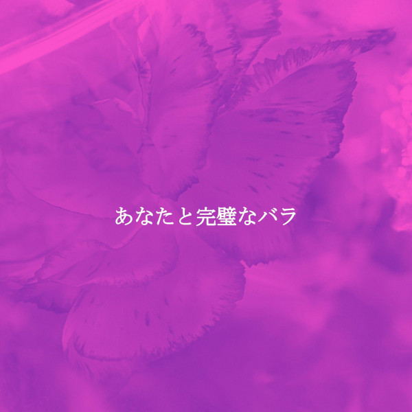 あなたと完璧なバラ cover art