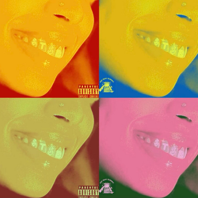 STSB cover art